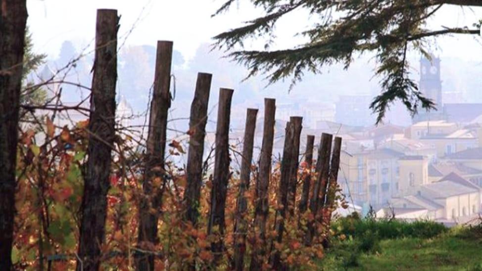 Casa Sofia - Irpinia Apartman Avellino Kültér fotó